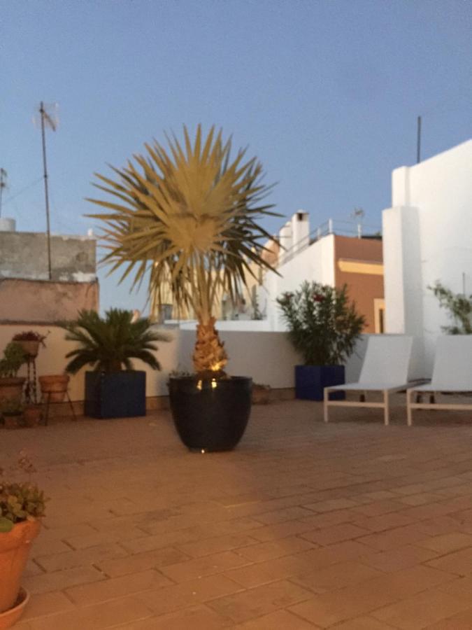 加的斯La Terraza De San Pedro公寓 外观 照片